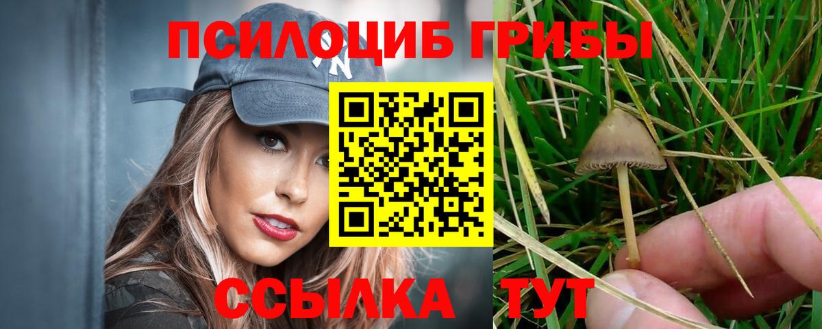 Галлюциногенные грибы MAGIC MUSHROOMS  Вход с VPN  Лабинск 